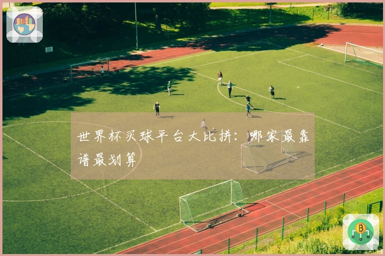 世界杯买球平台大比拼：哪家最靠谱最划算