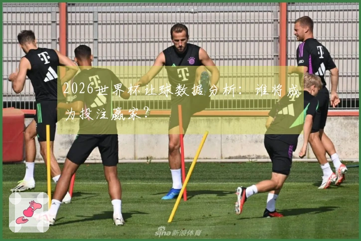 2026世界杯让球数据分析：谁将成为投注赢家？
