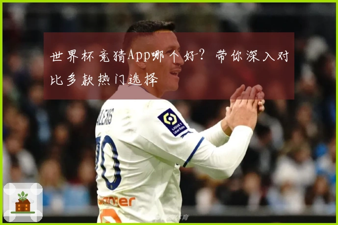 世界杯竞猜App哪个好？带你深入对比多款热门选择