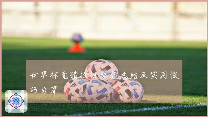 世界杯竞猜投注经验总结及实用技巧分享