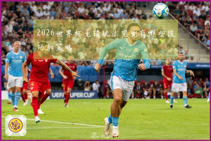 2026世界杯竞猜玩法究竟有哪些技巧和策略