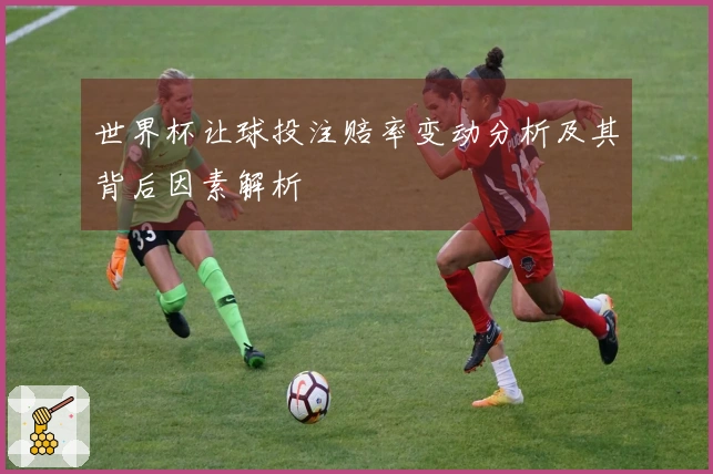 世界杯让球投注赔率变动分析及其背后因素解析
