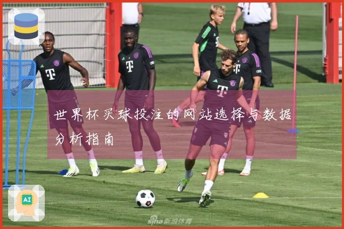 世界杯买球投注的网站选择与数据分析指南