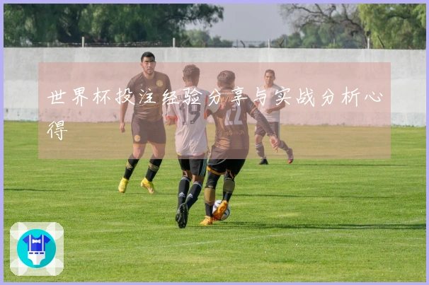 世界杯投注经验分享与实战分析心得