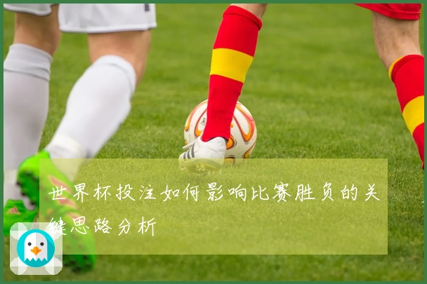 世界杯投注如何影响比赛胜负的关键思路分析