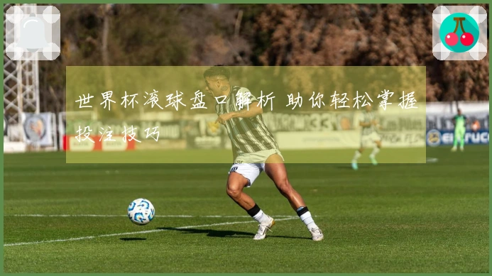世界杯滚球盘口解析 助你轻松掌握投注技巧
