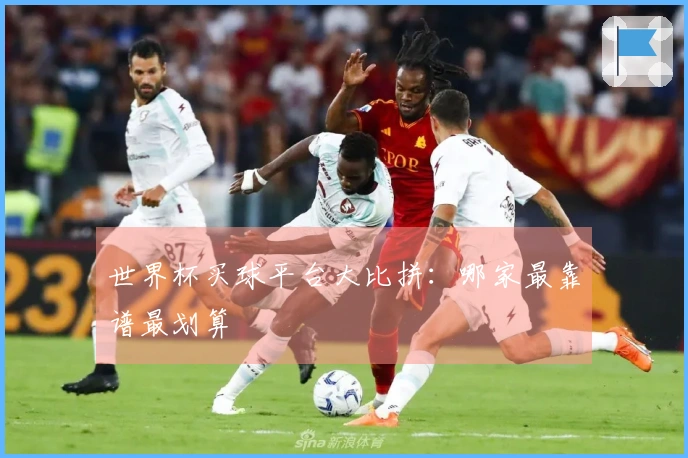 世界杯买球平台大比拼：哪家最靠谱最划算
