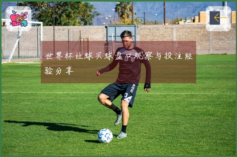 世界杯让球买球盘口观察与投注经验分享