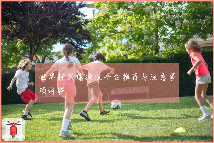 世界杯买球投注平台推荐与注意事项详解