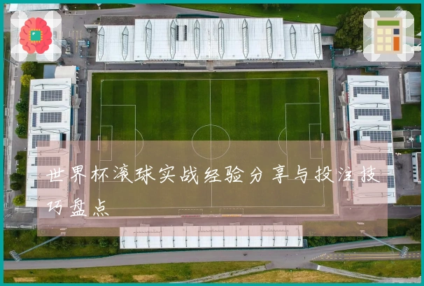 世界杯滚球实战经验分享与投注技巧盘点