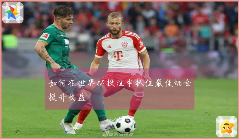 如何在世界杯投注中抓住最佳机会提升收益