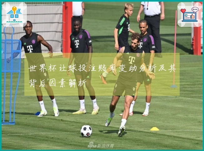 世界杯让球投注赔率变动分析及其背后因素解析