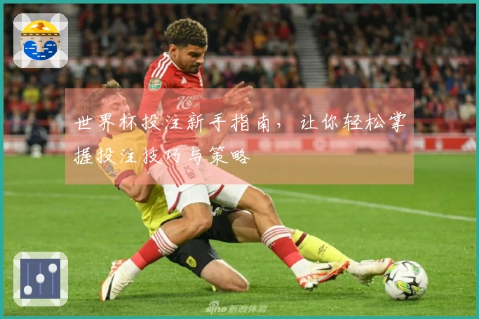 世界杯投注新手指南，让你轻松掌握投注技巧与策略