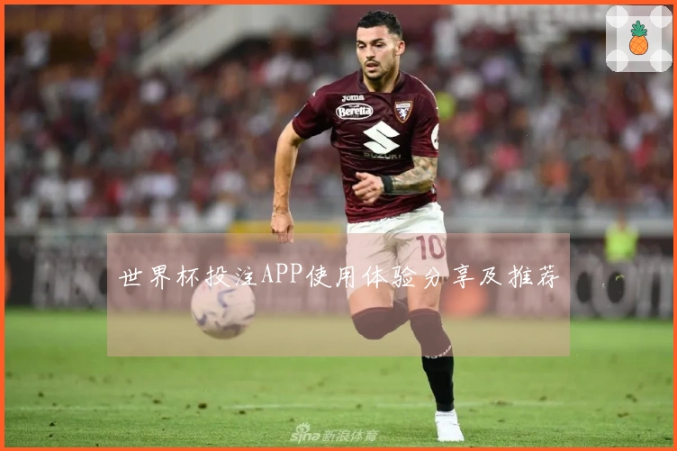 世界杯投注APP使用体验分享及推荐
