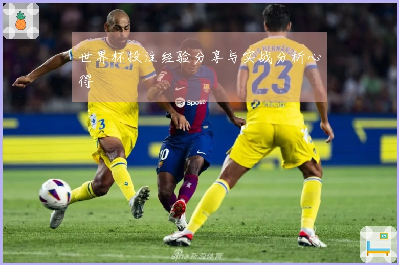 世界杯投注经验分享与实战分析心得