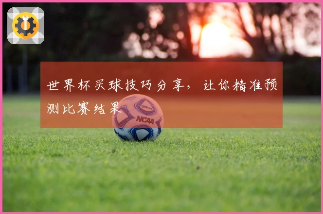 世界杯买球技巧分享,让你精准预测比赛结果